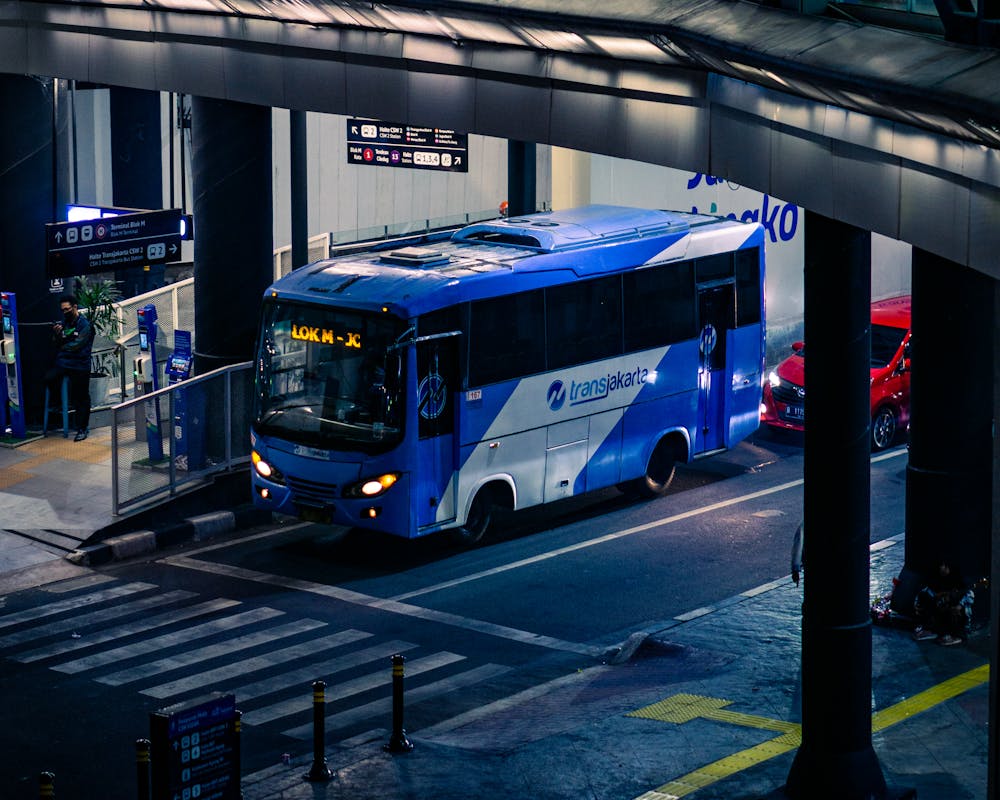 pexels-photo-10976674-1